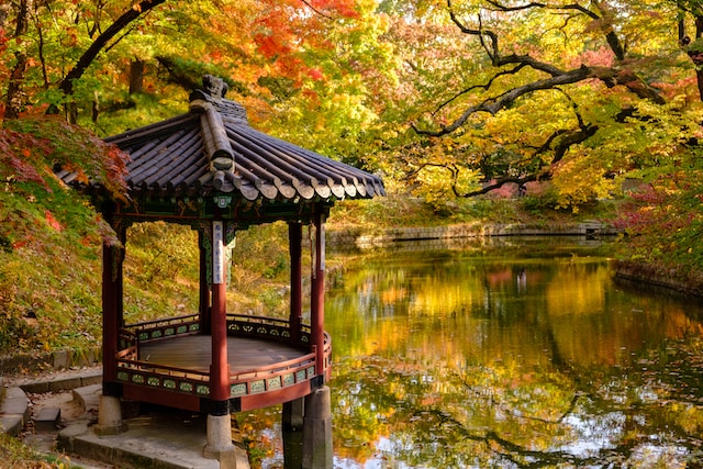 Jak skutecznie zabezpieczyć drewno